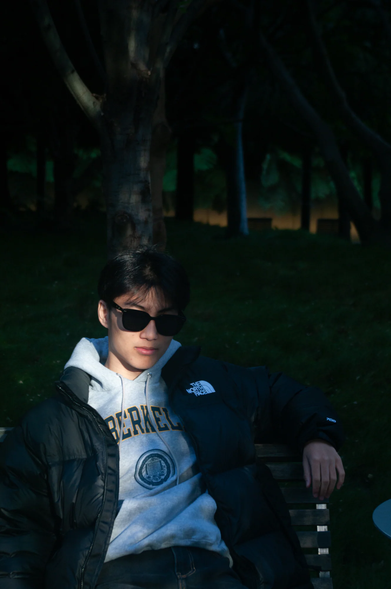 Young man in sunglasses and a Berkeley hoodie seated on a park bench beneath dark trees.
