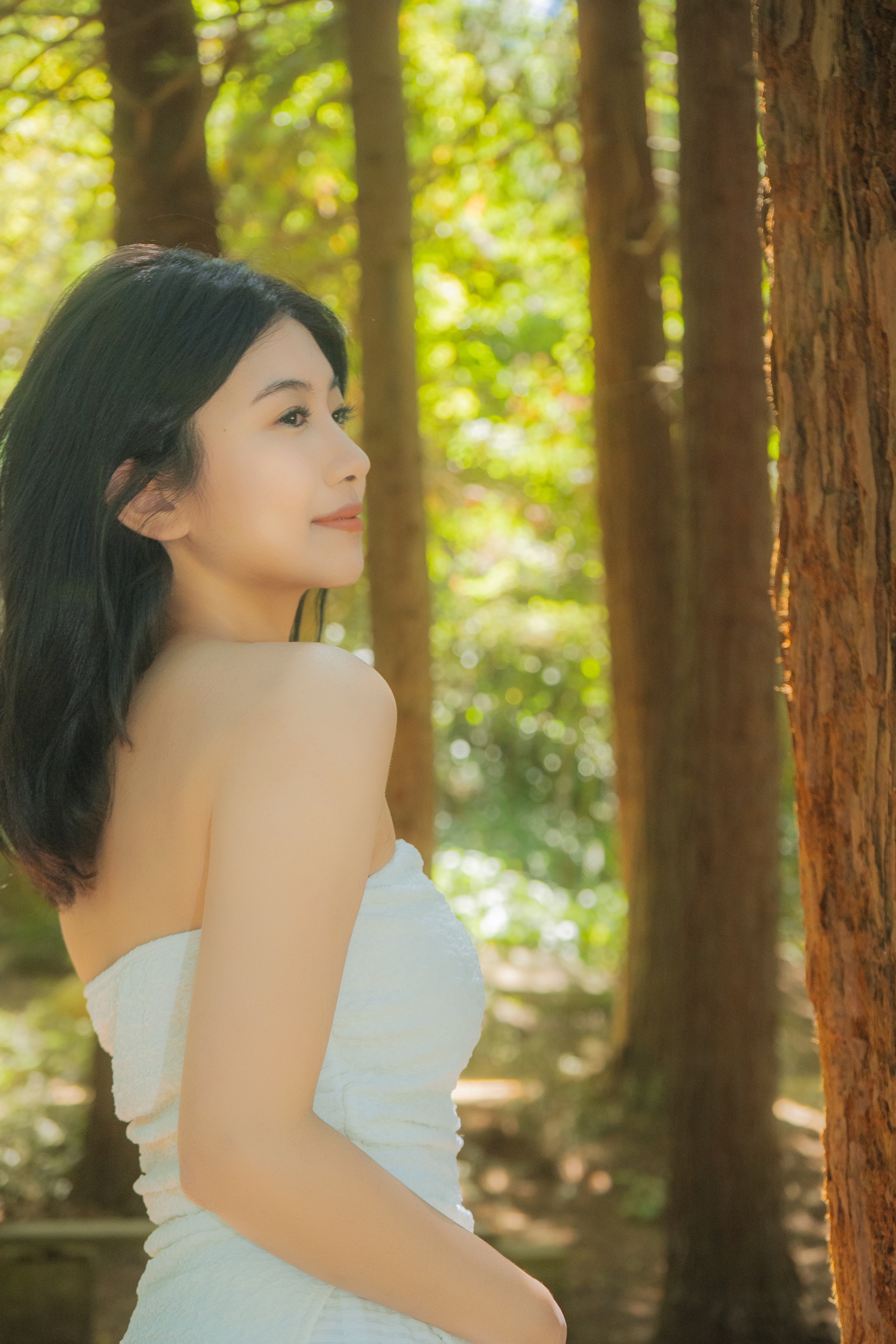 Soft sunlit portrait of a woman in a white dress looking toward a redwood tree in a glowing grove.